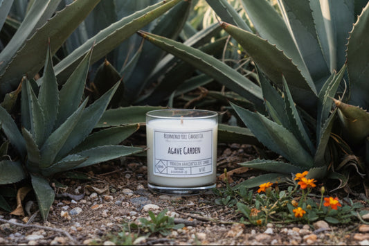 Agave Garden